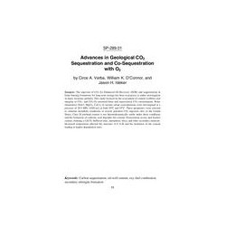 Twelfth International Conference on Recent Advances in Concrete Technology and Sustainability Issues