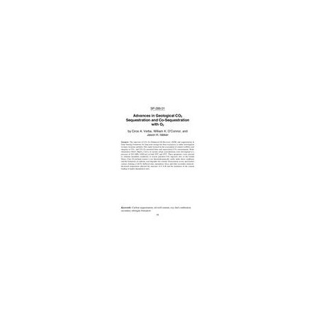 Twelfth International Conference on Recent Advances in Concrete Technology and Sustainability Issues