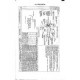 ADS AS31200-299