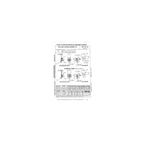 ADS AS41100-09
