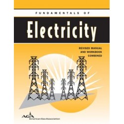 Fundamentals of Electricity - Combined Manual &amp; Workbook