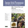 Blue Cohosh Root and Rhizome