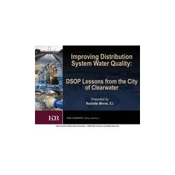 AWWA DSS69195