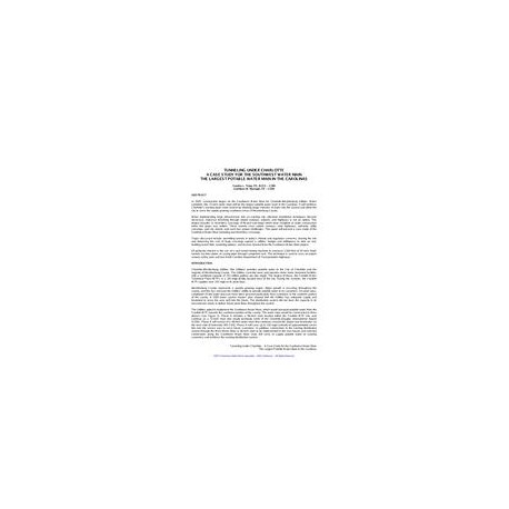 AWWA DSS65664