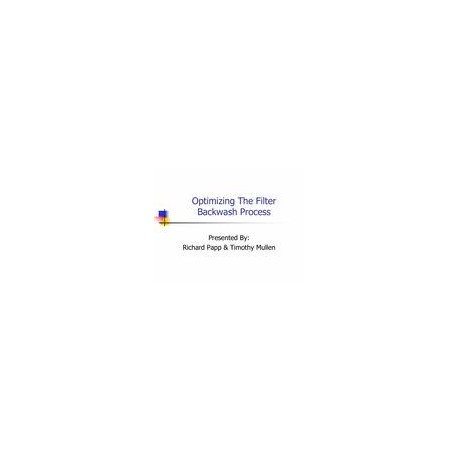 AWWA DSS60335