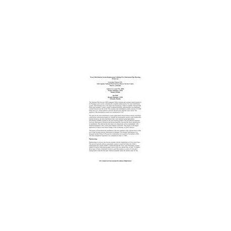 AWWA DSS60319