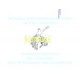 AWWA ACE60039