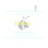 AWWA ACE60039