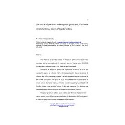AWWA PATH56535