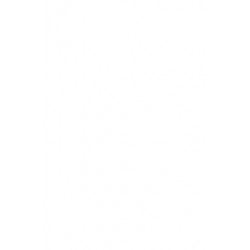 AS 2369.2 (INT)-1990 [ Superseded ]