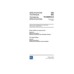 IEC 60695-6-2 Ed. 2.0 b:2018