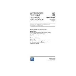 IEC 60695-1-40 Ed. 1.0 b:2013