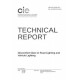 CIE 243:2021