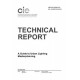 CIE 235:2019