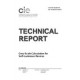 CIE 228:2018