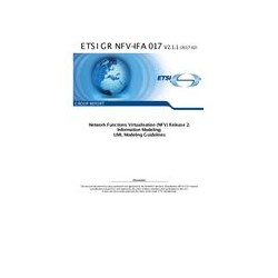 ETSI GR NFV-IFA 017