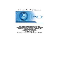 ETSI TS 101 596-2