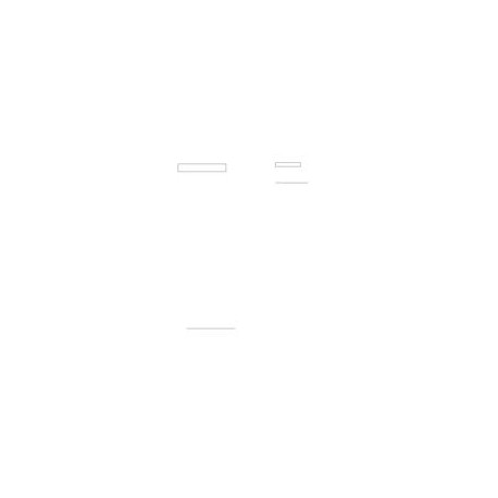 FED PPP-C-2020A Notice 1 - Inactivation
