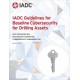 IADC Guidelines for Baseline Cybersecurity for Drilling Assets