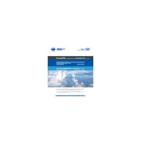 ICAO AN 19