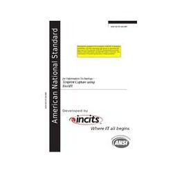 INCITS 434-2007