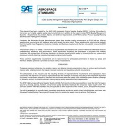 SAE AS13100