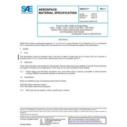 SAE AMS4310F