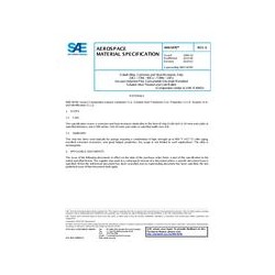 SAE AMS5876E