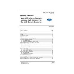 SMPTE ST 381-3:2013