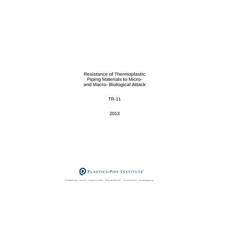 PPI TR-11 2013
